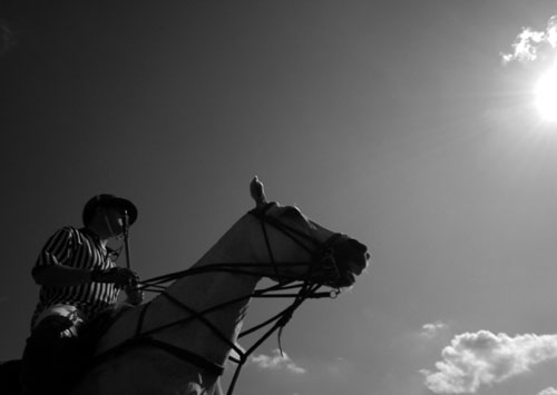 foto: Buksza Polo, mecz polo, koń, jeździec