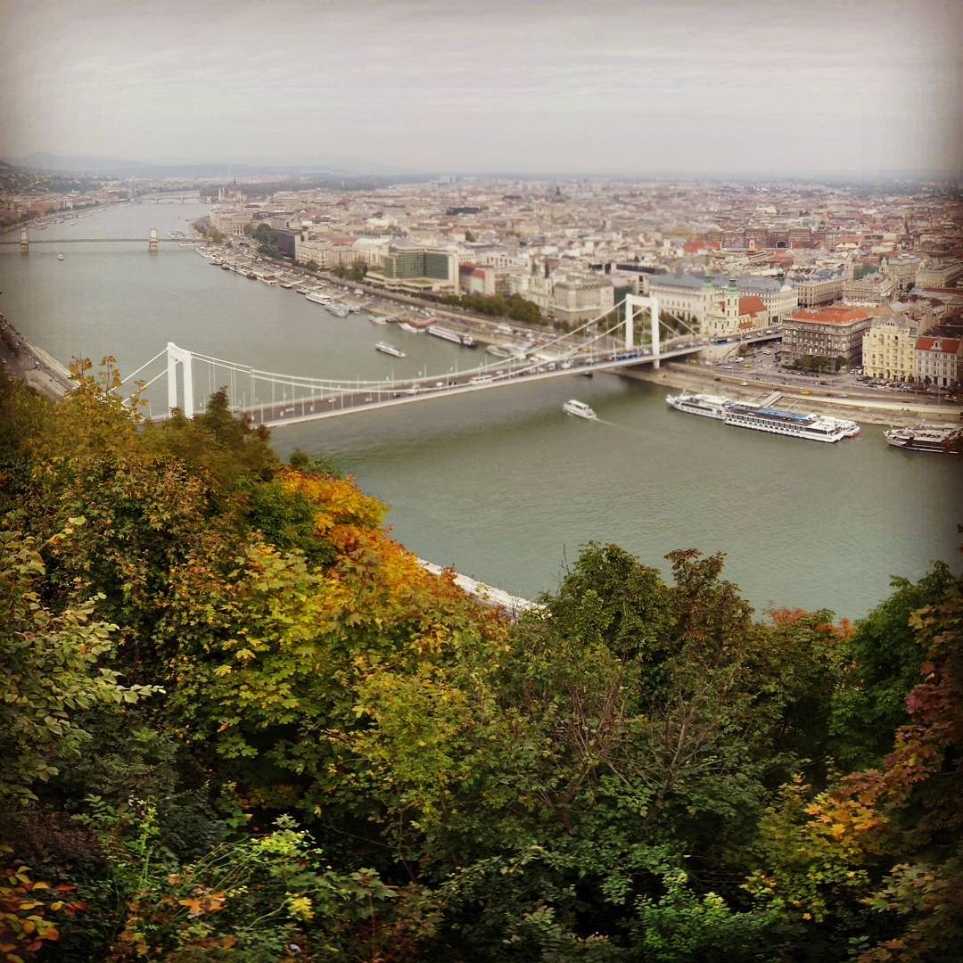 #buda #pest #budapest #budapeszt #dunaj #river #most #bridge #automn #jesień